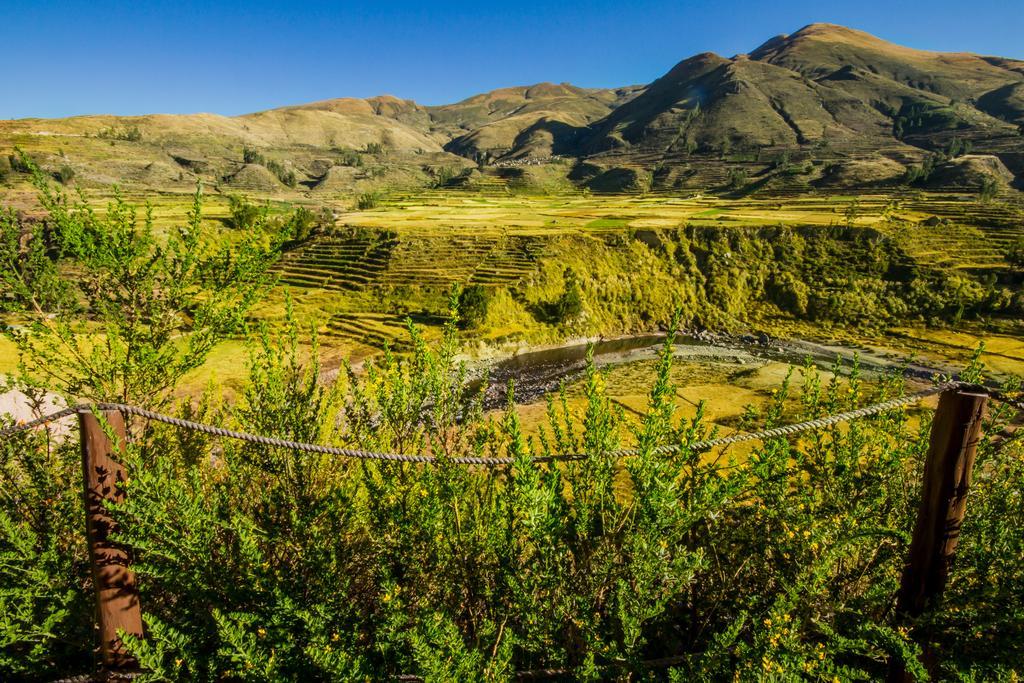 Eco Inn Colca Янке Экстерьер фото