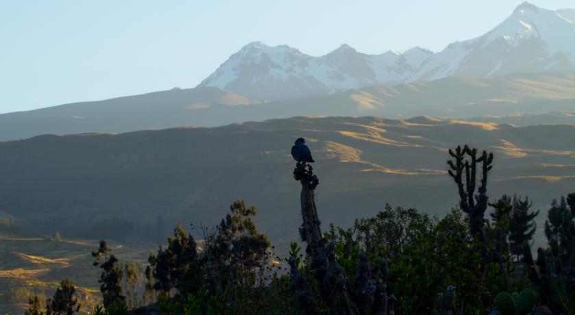 Eco Inn Colca Янке Экстерьер фото